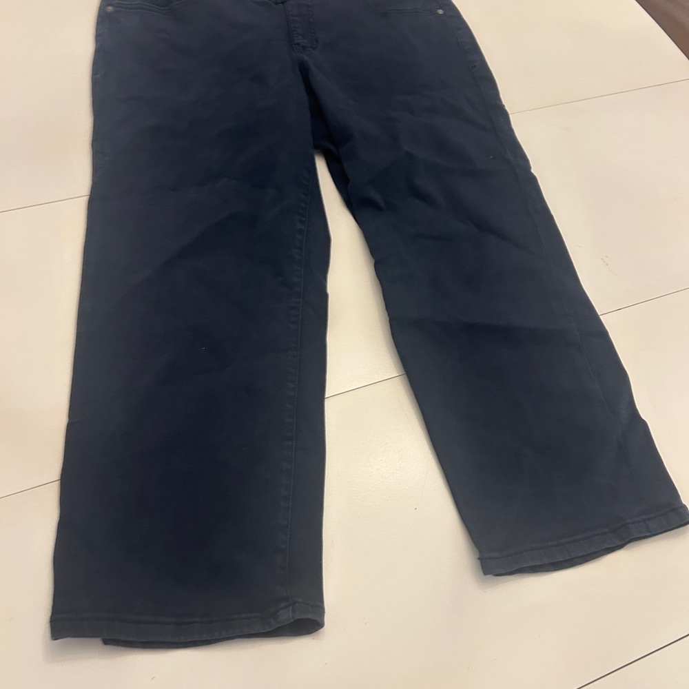 Jag Jeans Women's Cropped Jeans - Midnight Blue